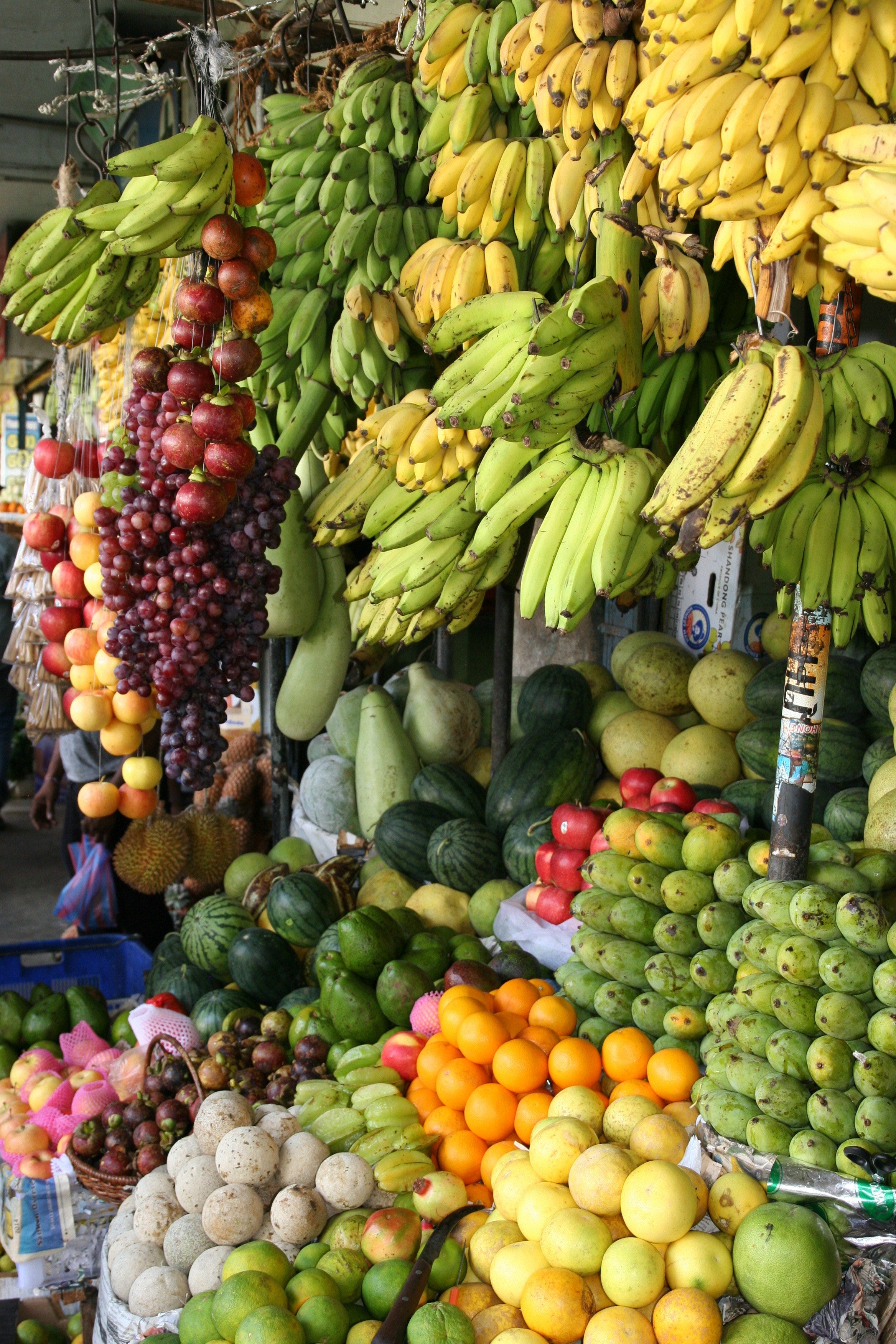 A market with a variety of arranged fruits