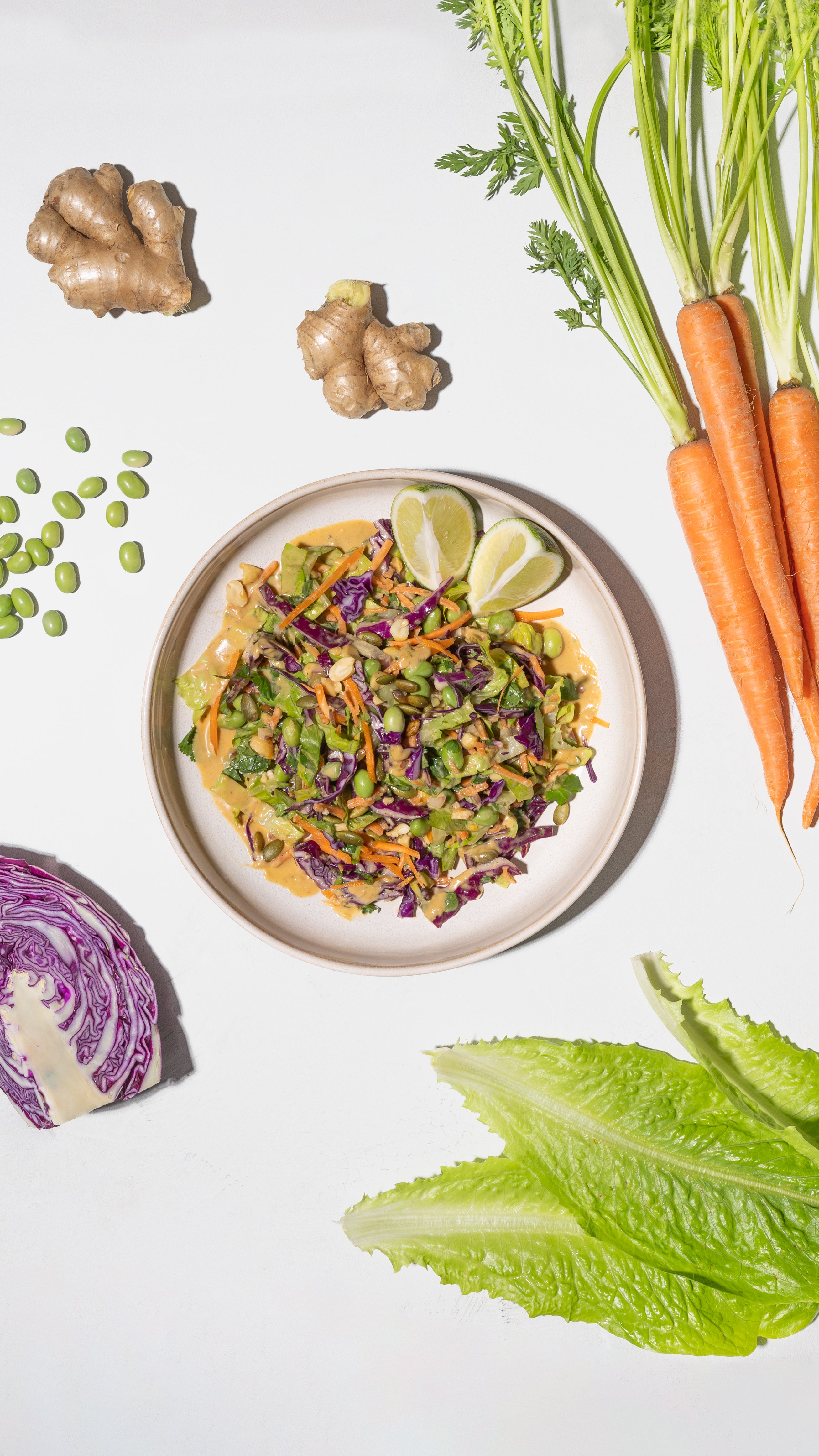 Crunchy Thai Peanut Salad