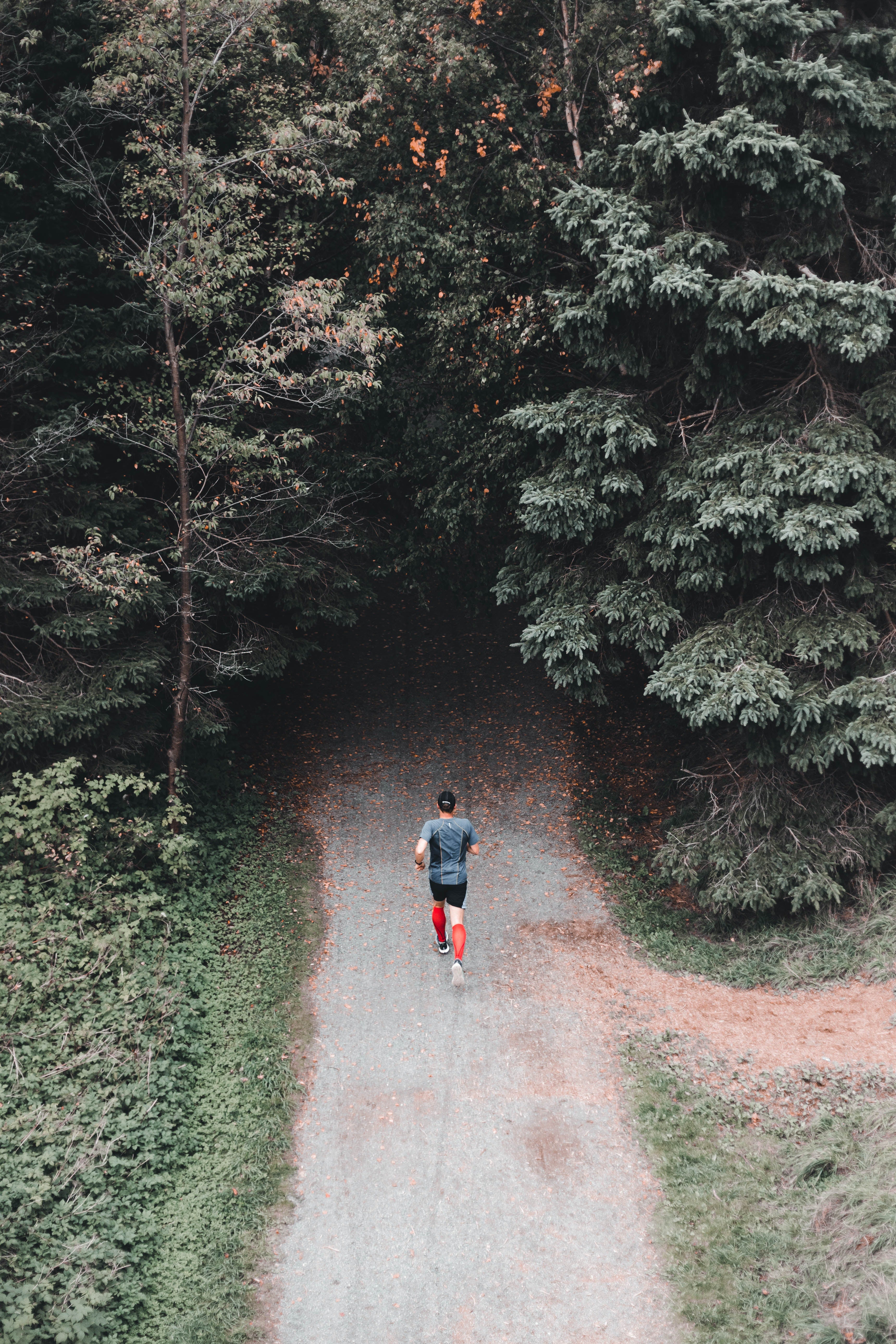 Man jogging on hiking path