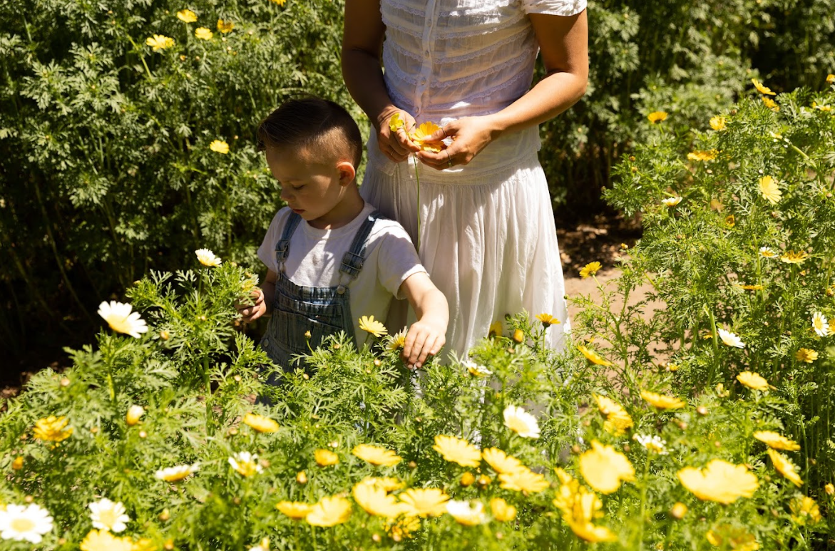 100 Reasons to Say “I Love You, Mom”