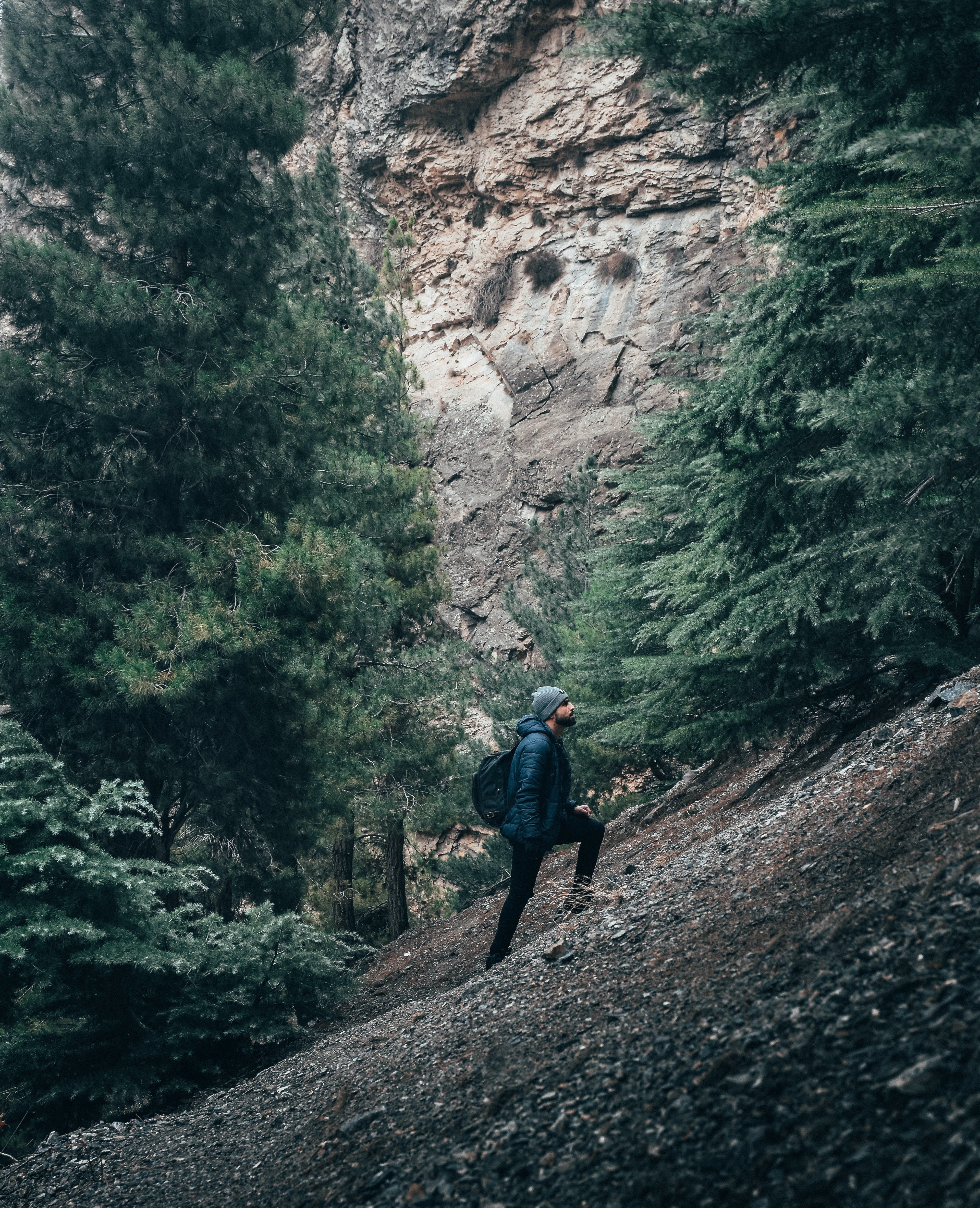 A hiker on a mountain trail appreciating nature