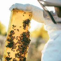 pollinator health wellness