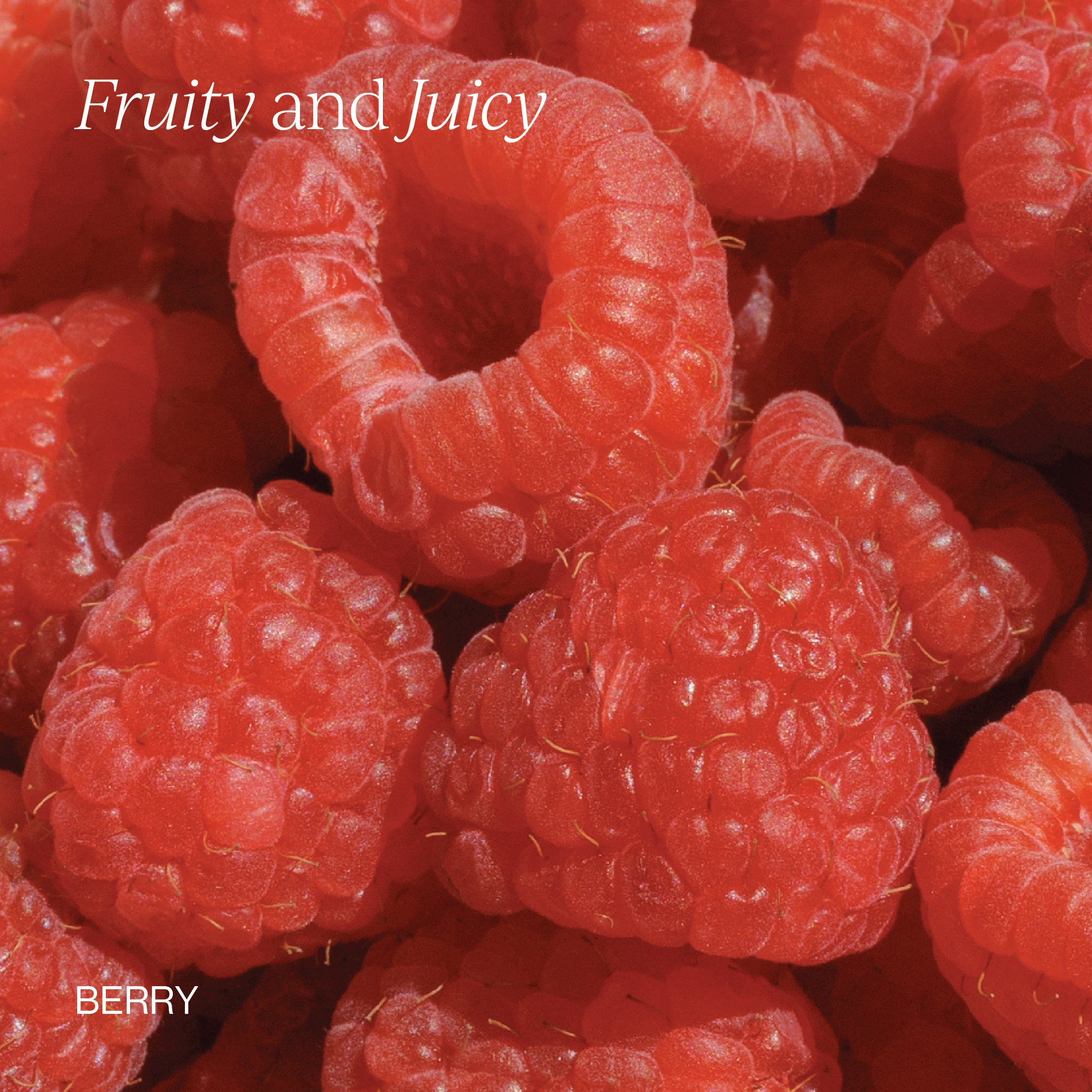 Liposomal Vitamin B12 + B6